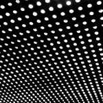 Beach House Bloom