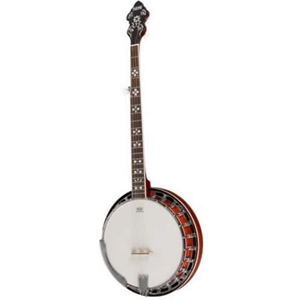 Recording King RKR20 Songster Banjo