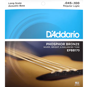 D'Addario EPBB170 Regular Light  Acoustic Bass Long, Phosphor Bronze
