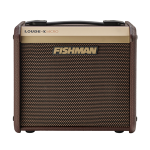 PRO-LBT-400 Fishman Loudbox Micro, 40 watts